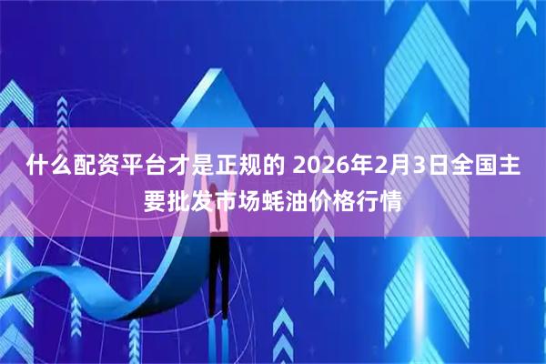 什么配资平台才是正规的 2026年2月3日全国主要批发市场蚝油价格行情