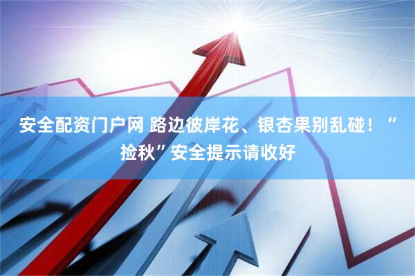 安全配资门户网 路边彼岸花、银杏果别乱碰！“捡秋”安全提示请收好